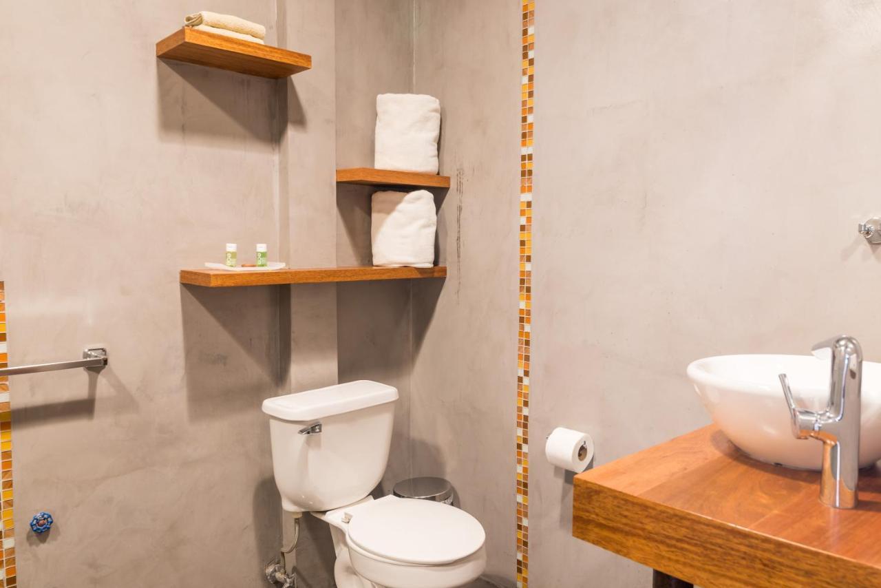 Viajero Quito Hostel المظهر الخارجي الصورة